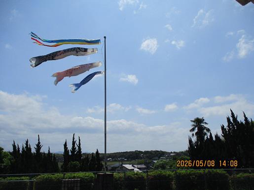 IMG_8726.JPG