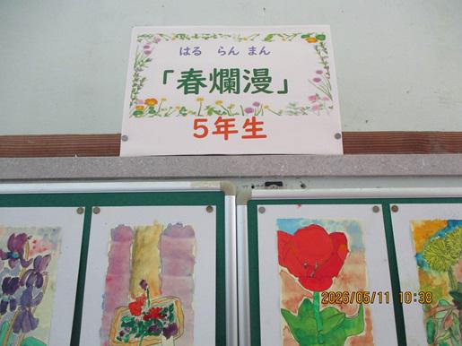 IMG_8777.JPG