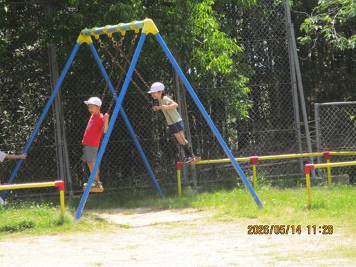 IMG_8894.JPG