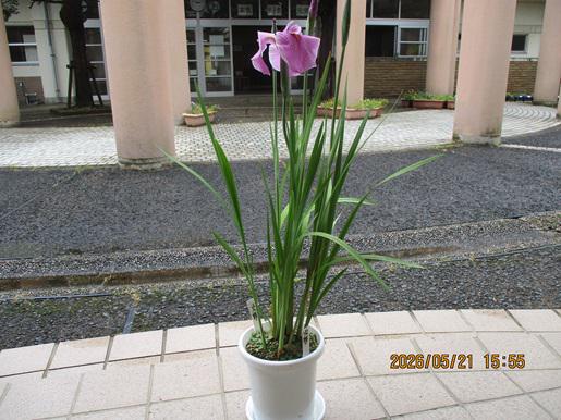 IMG_9145.JPG