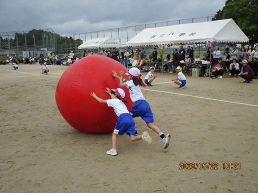 IMG_9176.JPG