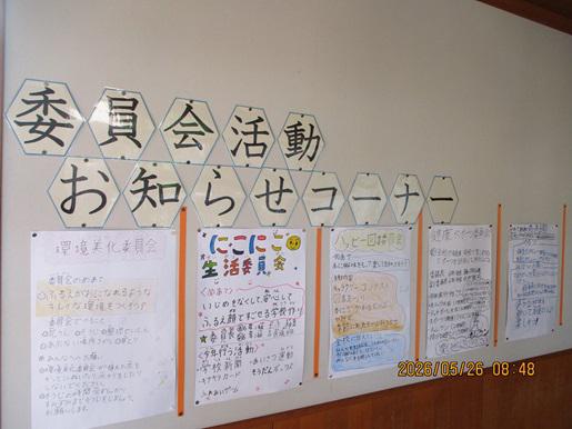 IMG_9305.JPG
