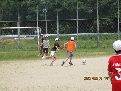 IMG_9487.JPG