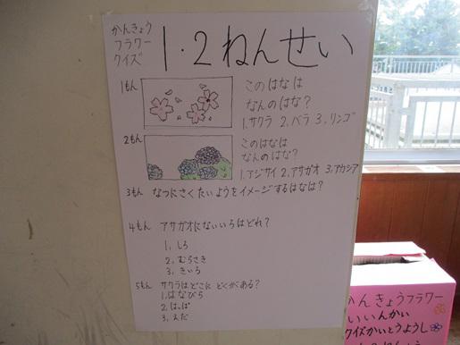IMG_9567.JPG