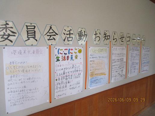 IMG_9784.JPG