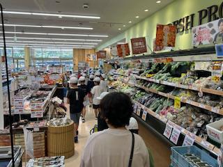 image8.jpeg