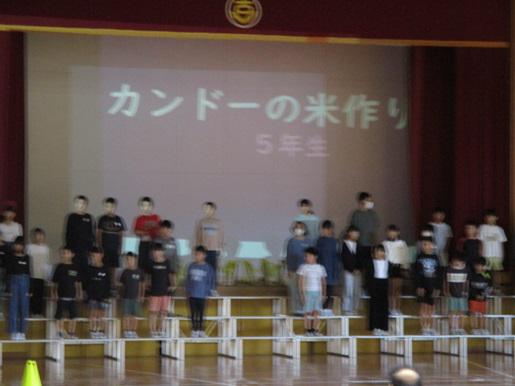 IMG_3334.JPG