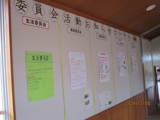 IMG_4281.JPG
