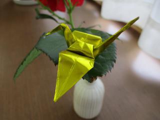 IMG_1413.jpg