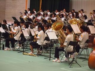 P9148541.JPG