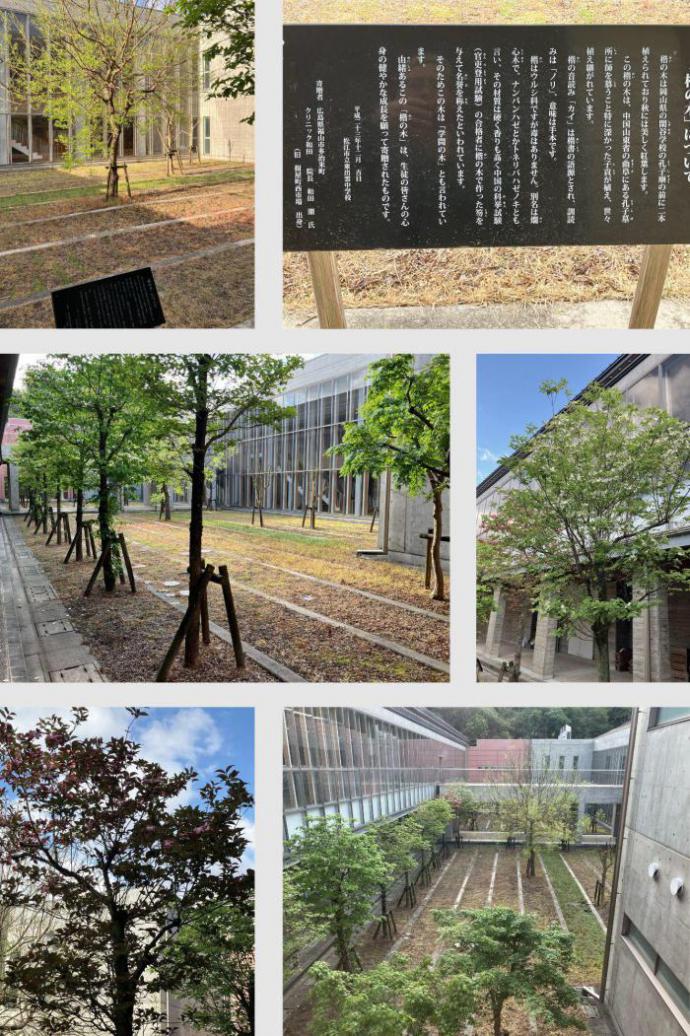名称未設定のデザイン (1).jpg