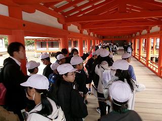 100_0265.jpg