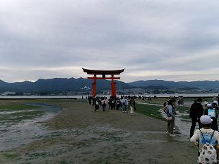 100_0268.jpg