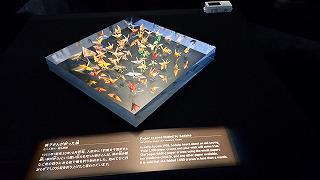 20230914_131343.jpg