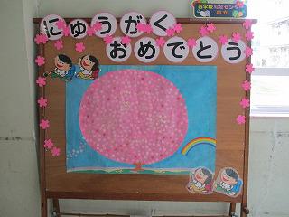IMG_2075.jpg