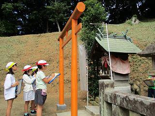 3-2 IMG_0016.jpg