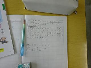 DSC00155.jpg