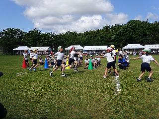 DSC00317.jpg