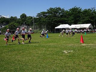 DSC00337.jpg