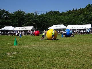 DSC00354.jpg