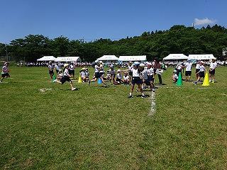 DSC00372.jpg