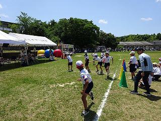 DSC00435.jpg