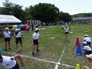 DSC00460.jpg
