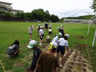 DSC00550.jpg