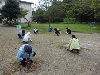 DSC00794.jpg