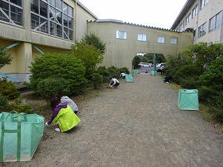 DSC00797.jpg