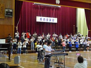 DSC01018.jpg