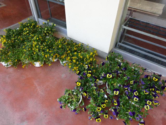 DSC07680.JPG