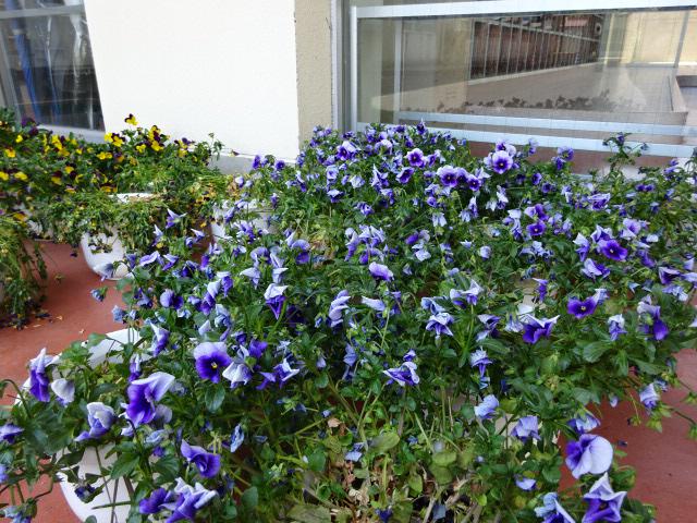 DSC07681.JPG