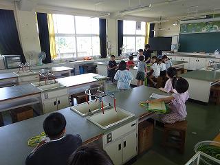 DSC08194.jpg