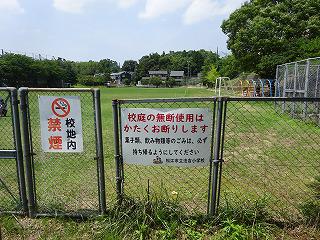 DSC08396.jpg
