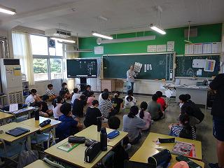 DSC08634.jpg