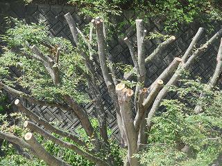 IMG_0334.jpg