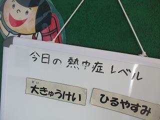 IMG_0412.jpg