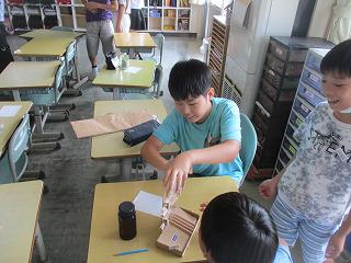 IMG_0533.jpg
