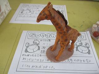 IMG_0595.jpg