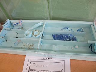 IMG_0683.jpg