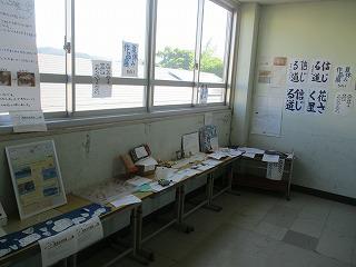IMG_0760.jpg