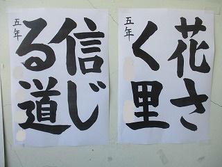 IMG_0763.jpg