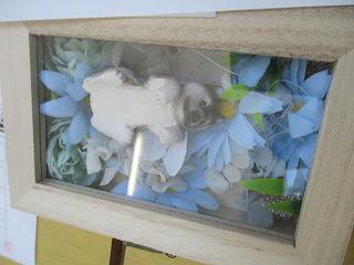 IMG_0778.jpg