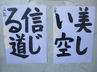 IMG_0796.jpg
