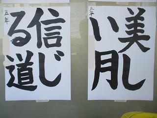 IMG_0798.jpg