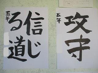 IMG_0799.jpg