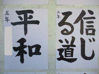 IMG_0800.jpg