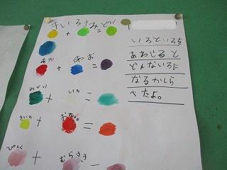 IMG_0843.jpg