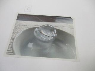 IMG_0845.jpg
